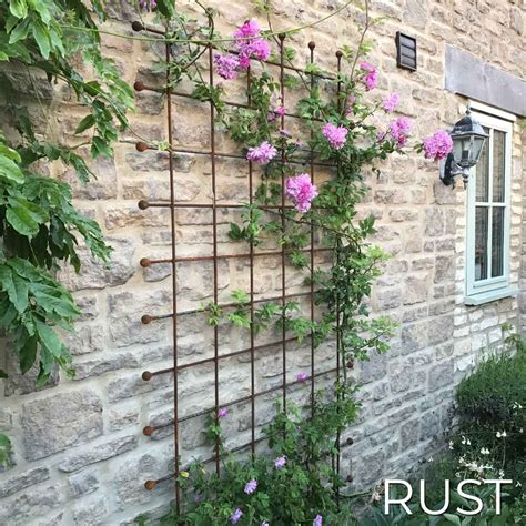 wall trellis for garden